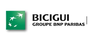 Services financiers - banques, assurances et SFD - référence 13