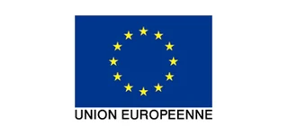 Secteur public et développement international - référence 8